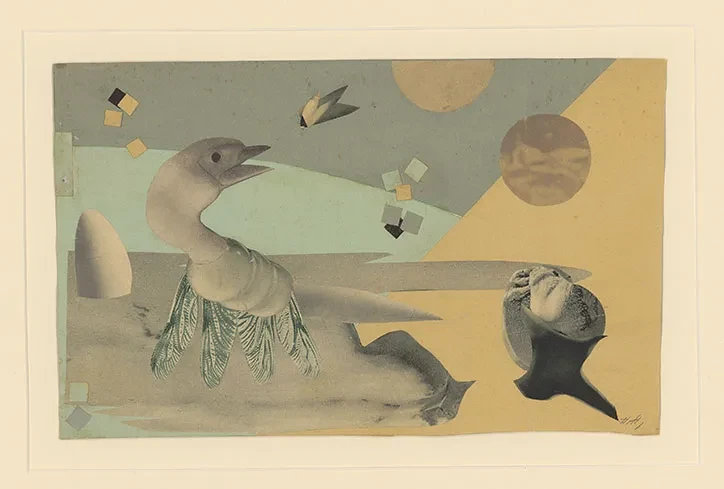 Collage d'image évoquant un oiseau survolant un village
